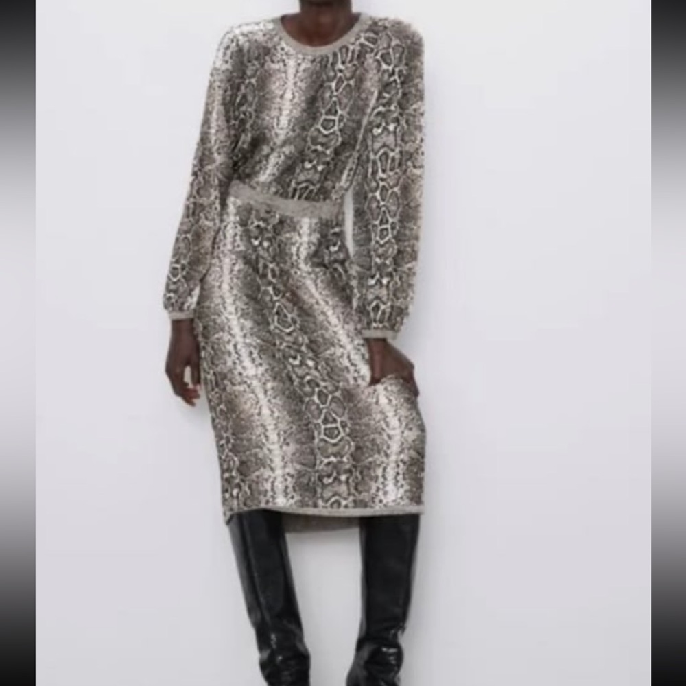 Zara Snake Print Sweater Dress